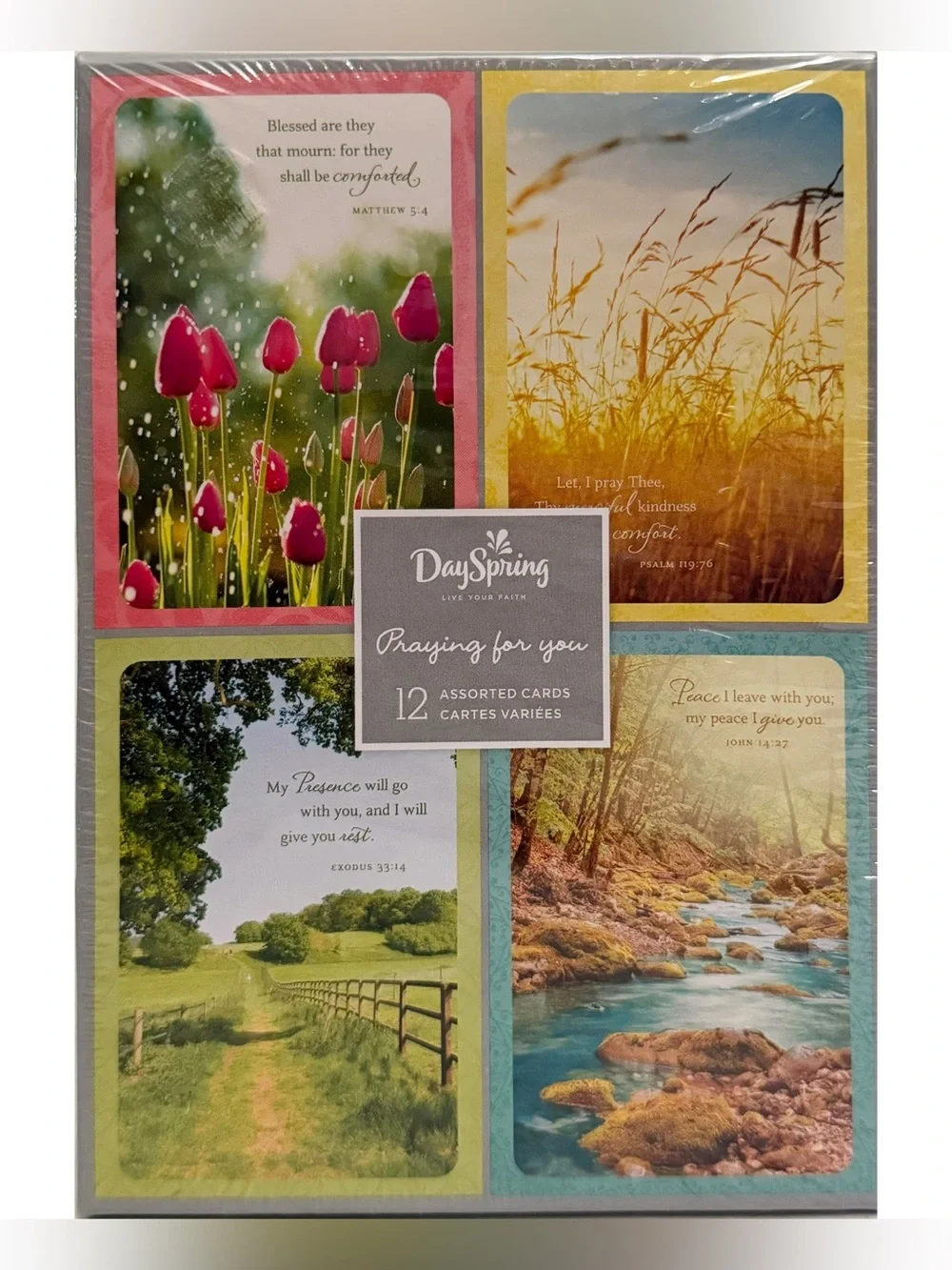 3/$10 DaySpring Praying for You 12 Assorted Cards Religious